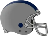 home team emblem
